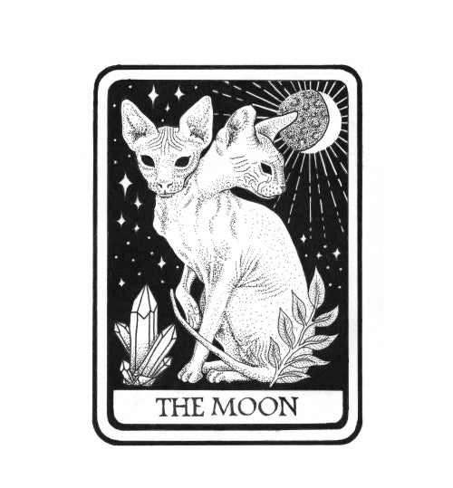 'Moon Cat' Digital Download
